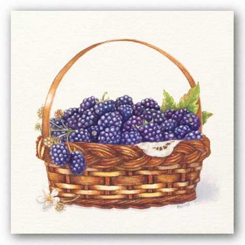 Basket Of Blackberries by Bambi Papais