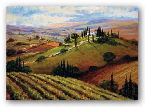 Tuscan Afternoon by Steve Thoms