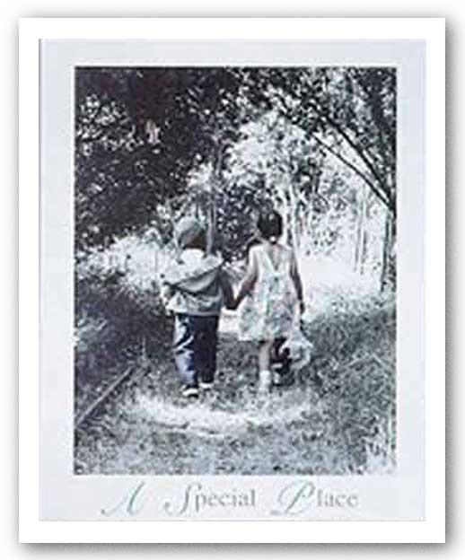 A Special Place by Gail Goodwin
