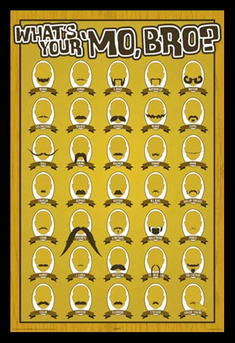 What's Your 'Mo, Bro? - Moustaches