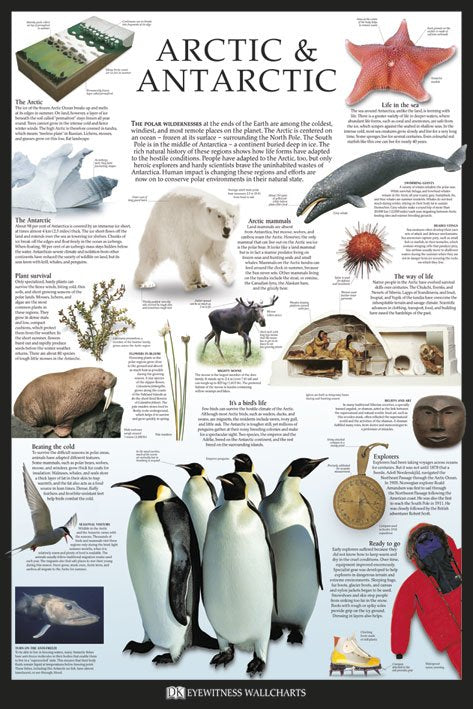 Arctic and Antarctic by Dorling Kindersley