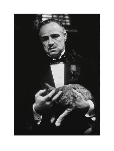 The Godfather (Brando and Cat)