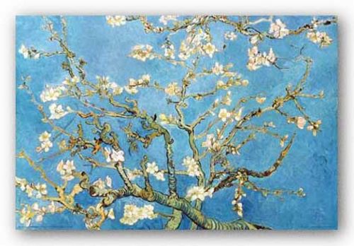 Almond Blossom Branches San Remy 1890 by Vincent Van Gogh