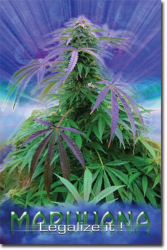 Marijuana - Legalize It