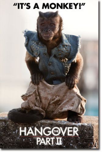 Hangover 2 Movie Poster - Monkey