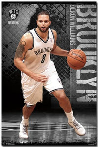 Deron Williams - Brooklyn Nets NBA