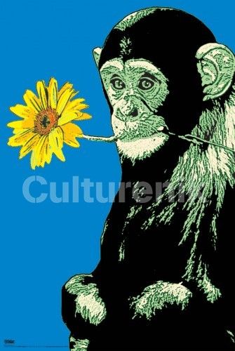 Monkey Poster by Steez
