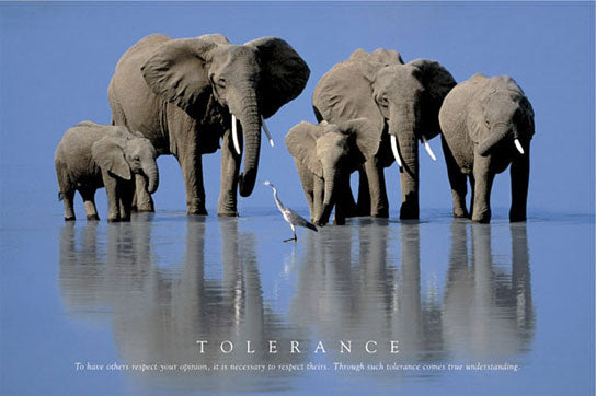 Tolerance - Elephants