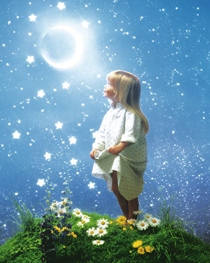 La Nuit Enchantee (The Enchanted Night)
