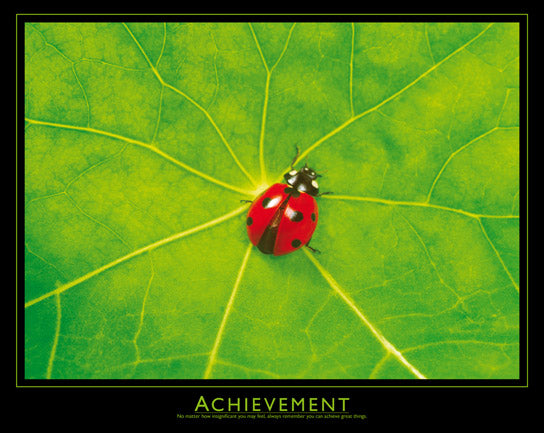 Achievement - Ladybug