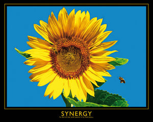 Synergy - Sunflower and Bee