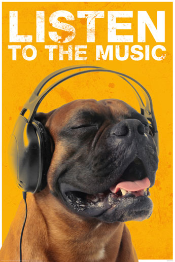 Listen to the Music - Dog With Headphones